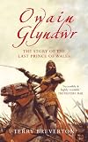 Owain Glyndŵr : the story of the last Prince of Wales