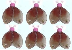 2BrownPinkMiniGlitterLadybugs6pcset-nylonhangingceilingwallbabynurseryroomweddingdecordecorationdecorationsgirlsbedroompartyshower