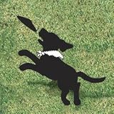 Pattern for Frisbee (R) Fun
