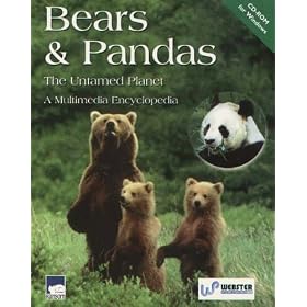 Bears And Pandas