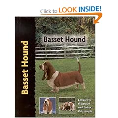 Basset Hound