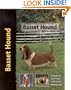 Basset Hound Hb