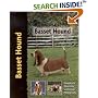 Basset Hound
