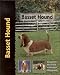 Basset Hound