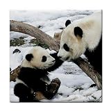 Panda bears Ceramic Tile Coaster Great Gift Idea