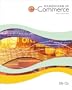 Foundations of E-Commerce