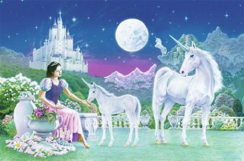 1art1 40574 Einh&ouml;rner - Einhorn und Prinzessin Fototapete Poster-Tapete (175 x 115 cm)