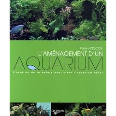 L'am�nagement d'un aquarium : S'inspirer de la nature pour cr�er l'aquarium id�al
