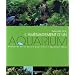 L'am�nagement d'un aquarium : S'inspirer de la nature pour cr�er l'aquarium id�al