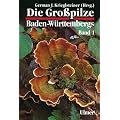 Die Grosspilze Baden-W�rttembergs: Die Gro�pilze Baden-W�rttembergs, Bd.1, Allgemeiner Teil: Allgemeiner Teil. St�nderpilze: Gallert-, Rinden-, Stachel- und Porenpilze