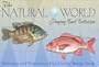 Saltwater and Freshwater Fish Double Bridge Card Game (Natural World Playing Card Collection)