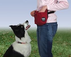Premier Pet Treat Pouch, Red