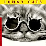 Funny Cats