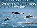 Discovering Whales, Dolphins and Porpoises (Worldlife Library)