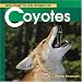 Coyotes (Welcome to the World Series)