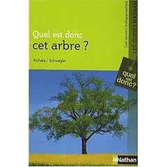 Quel est donc cet arbre ?