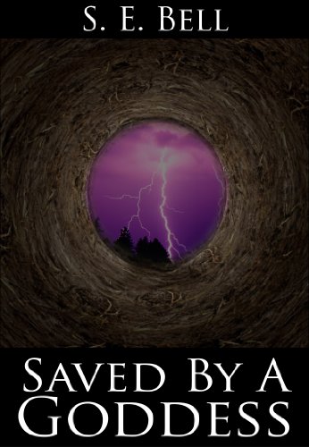Saved By A Goddess (Goddess Series Book 1)