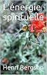 L'énergie spirituelle (French Edition)