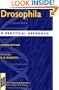 Drosophila: A Practical Approach (The Practical Approach Series)