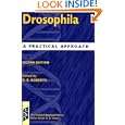 Drosophila: A Practical Approach (Practical Approach Series) by D. B. Roberts