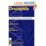 Drosophila: A Practical Approach