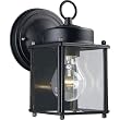 Progress Lighting P5607-31 Wall Lantern with Clear Glass, Black