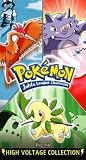 Pokemon 58: Big Air [VHS] [Import] Masamitsu Hidaka