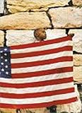 Flag:  An American Story