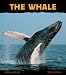 The Whale: Giant of the Ocean (Animal Close-Ups)