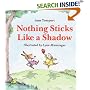 Nothing Sticks Like a Shadow