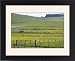 Framed Prints of COS-2016 Flower meadows and Fences, with Sea Cliffs in background from Ardea Wildlife Pets
