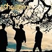 Echobrain