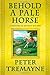 Behold a Pale Horse: A Mystery of Ancient Ireland (Mysteries of Ancient Ireland)
