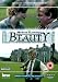 Beauty [2004]