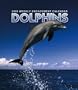 Dolphins 2005 Weekly Engagement Calendar
