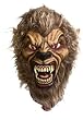 Cut Off Wolf Head Prop