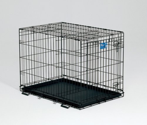 Midwest Life-Stages 48-by-30-by-33-Inch Single-Door Folding Metal Dog Crate