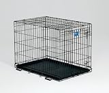 Midwest Life Stages Single-Door Folding Metal Dog Crate, 48 Inches by 30 Inches by 33 Inches
