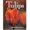It's Tulip Time!