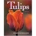 Tulips: For North American Gardens