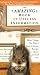 The Amazing Book of Useless Information: More Things You Didn't Need to Know But Are About to Find Out