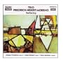 Trio Friedrich-Hebert-Moreno: Surfacing