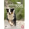 Extraordinary Dogs [DVD]