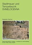Stadtmauer und Tempelbezirk von Sumelocenna: Die Ausgrabungen 1995-1999 in Rottenburg am Neckar, Flur "Am Burggraben"
