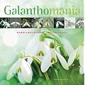 Galanthomania: Snowdrops