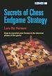 Secrets of Chess Endgame Strategy (Chess College S.)