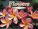 Hawaiian 16 Month Value Calendar 2013 Island Flowers
