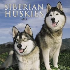 Siberian Huskies Wall