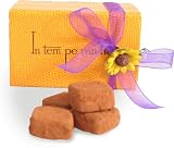 Organic Dark Chocolate Pavers - 12 Pieces