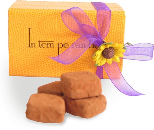 Organic Dark Chocolate Pavers - 12 Pieces by Intemperantia chocolates